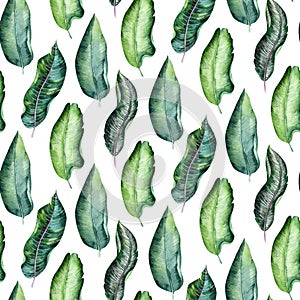 Seamless watercolor pattern of tropical leaves, dense jungle. Hand painted palm leaf. Texture with tropic summertime may