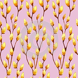 Seamless watercolor pattern with yellow buds on willow branches on pink color background. Vintage style. Botany pattern for