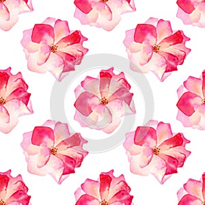 Seamless watercolor roses pattern. Pink background with delicate rose flower for fabric, wedding decor, souvenirs