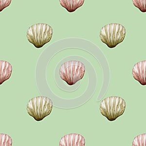 Seamless watercolor shell pattern on soft green fabric for textile design and wrapping