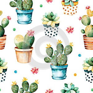 Seamless watercolor texture with cactus plant and succulent plant in pot