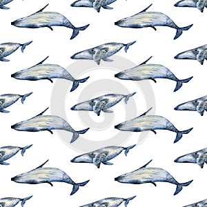 Seamless whale pattern. Watercolor background with sea humpback whales for textile, wallpapers, wrapping paper