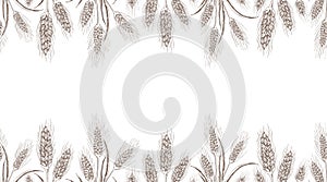 Seamless wheat or barley background isolated on white. hand drawn sketch illustration. endless rye spikelets of wheat