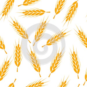 Seamless wheat pattern vector background. Wheat bread harvest cereal illustration