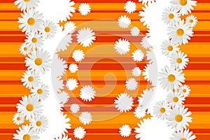 Seamless white daisy flowers on dark and light orange background.