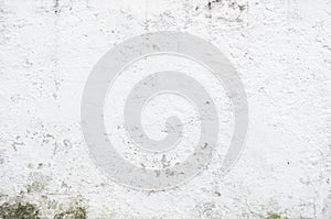 Seamless White Wall Paint Texture for Background and Overlay