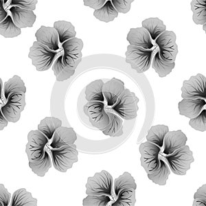 Seamless wild floral pattern with nasturtium. Gray hibiscus flowers on white background. Botanical Motifs scattered random.