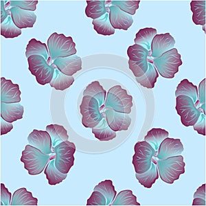 Seamless wild floral pattern with nasturtium. Hibiscus flowers on light blue background. Botanical Motifs scattered random.