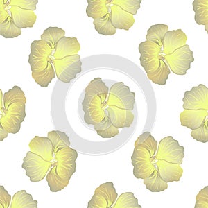 Seamless wild floral pattern with nasturtium. Yellow hibiscus flowers on white background. Botanical Motifs scattered random.