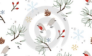 Seamless winter pattern with pine branches and birds