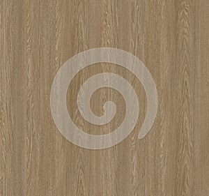Seamless wood texture background illustration closeup. Light wood surface, Wooden