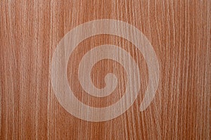 Seamless wood texture. Wooden background or textured