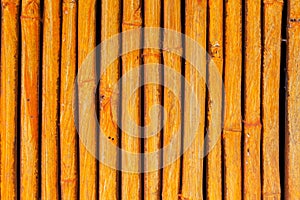 Seamless yellow bamboo stick striped pattern