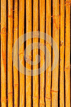 Seamless yellow bamboo stick striped pattern
