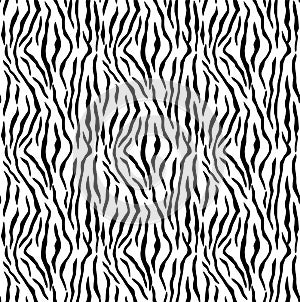 Seamless zebra design ready for printing. textile art
