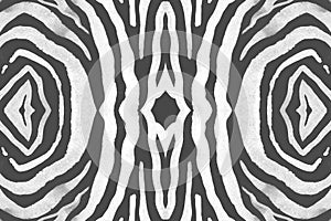 Seamless Zebra Lines. Abstract Safari Banner.