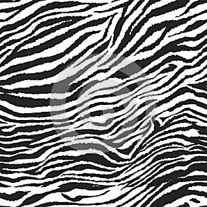 Seamless zebra pattern photo