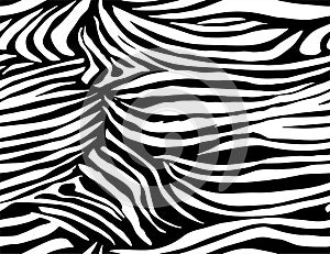 Seamless Zebra Tiger Pattern Textile Texture Print. Vector Background. Black white design for interior, clothes