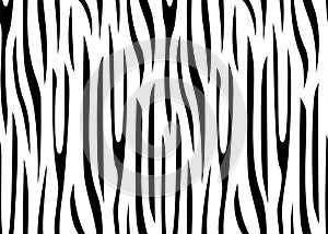 Seamless Zebra Tiger Pattern Textile Texture Print. Vector Background. Black white design for interior, clothes, bed linen