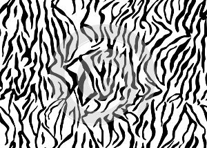 Seamless Zebra Tiger Pattern Textile Texture Print. Vector Background. Black white design for interior, clothes, bed linen, fabric