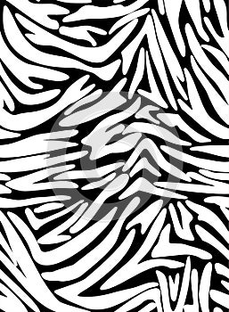 Seamless Zebra Tiger Pattern Textile Texture Print. Worn Vector Background. Black white design