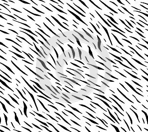 Seamless Zebra Tiger Pattern Textile Texture. Vector Background. Black and White Animal Skin for Women Dress Fabric Print