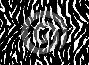 Seamless Zebra Tiger Pattern Textile Texture. Vector Background. Black and White Animal Skin for Women Dress Fabric Print