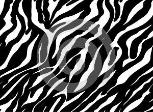 Seamless Zebra Tiger Pattern Textile Texture. Vector Background. Black and White Animal Skin for Women Dress Fabric Print
