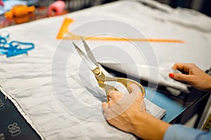 Seamstress cuts fabric with scissors in workshop