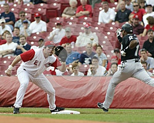 Sean Casey, Cincinnati Reds