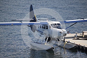 Seaplane at dock