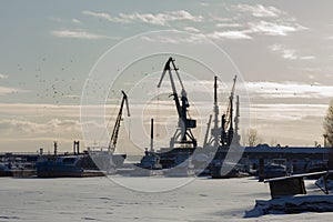 Seaport at sunny winter day - cargo cranes in ice harbor, silhouette