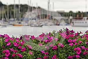 Seaport Village of Kinsale, Ireland