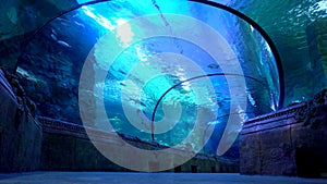 Seaquarium Oceanarium. Tourist in big aquarium. Underwater tunnel.