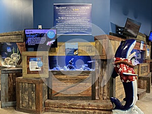 SeaQuest in Trumbull, Connecticut
