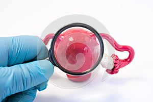 Search disease, abnormalities or pathology of uterus or womb concept photo. Doctor holding magnifying glass and through it examine