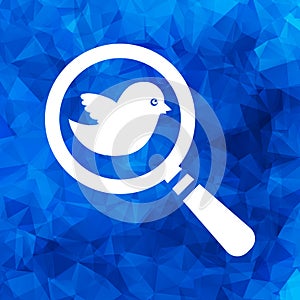 Search icon with flat white bird on a blue triangular polygonal