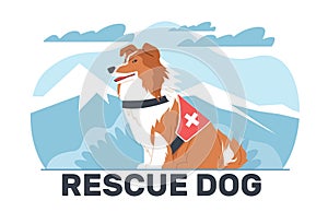 Search and rescue dog against background of mountain. Trained animal, pet saving lives buried in snow, working in