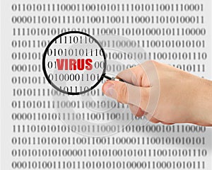 Searching for a computer virus