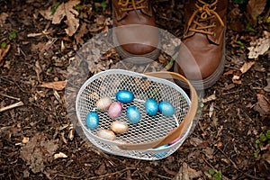 searching for easter eggs in the forest, Easter egg,