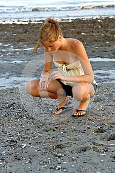 Searching for shells at low tide