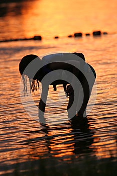 Searching for Shells at Sunset