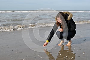 Searching for shells