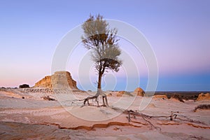 Searching for water arid landscape