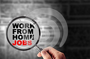 Searching for a work from home job