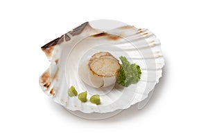 Seared scallop