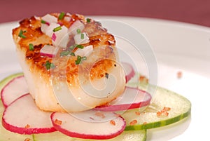 Seared scallop photo