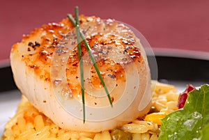 Seared scallop on a bed of saffron rice photo