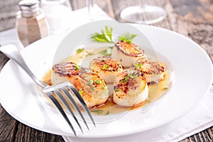 Seared scallop