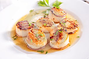 Seared scallop